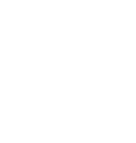 icon digestive enzymes, fermented maltodextrins, alpha-galactosidase and lactase