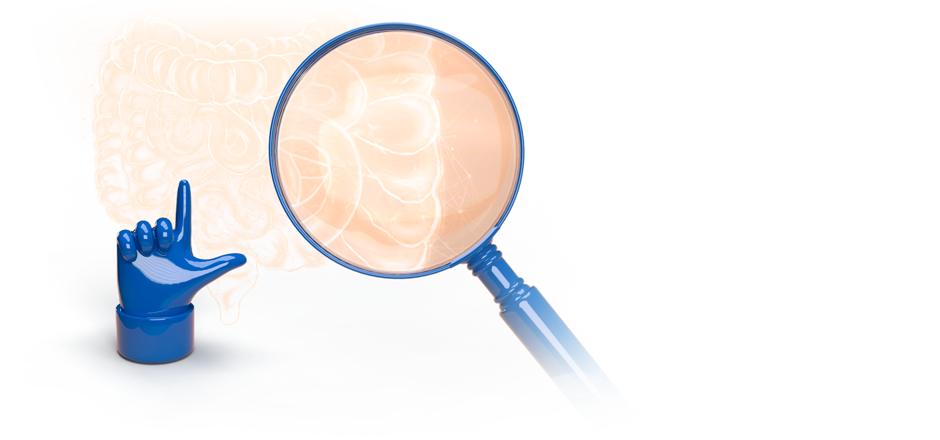 Intestino